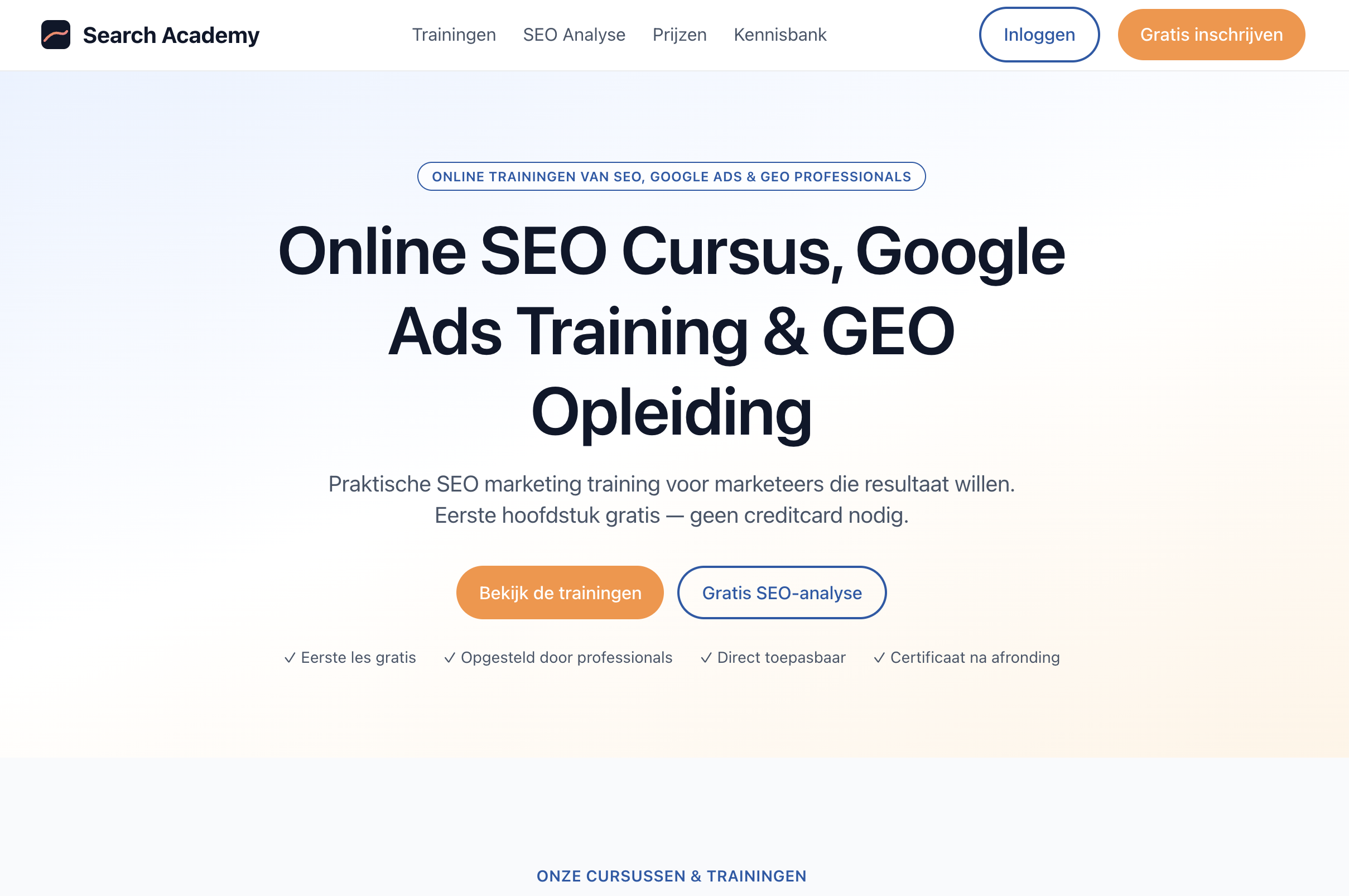 Screenshot van de homepage van Search Academy